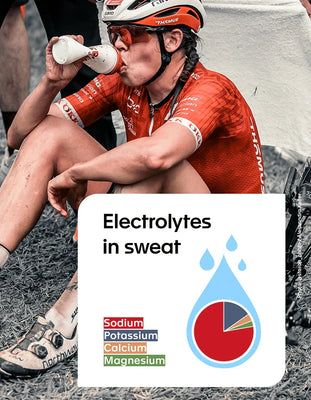 Elektrolyte